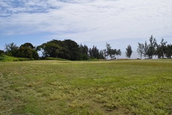 24 Lot Pepeekeo, HI 96783 - Photo 8 of 18