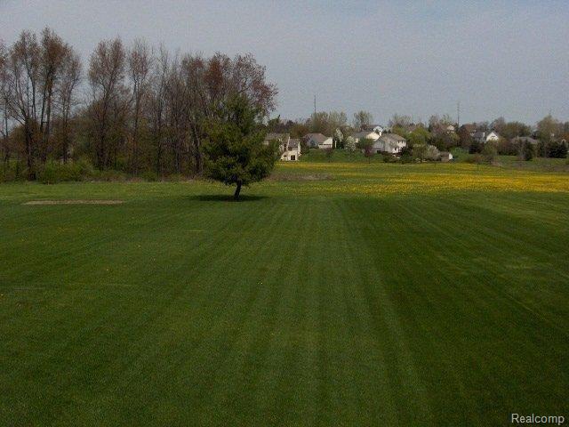 1739 Clover Ridge Drive Howell, MI 48843 - Photo 20 of 20 Back Yard View