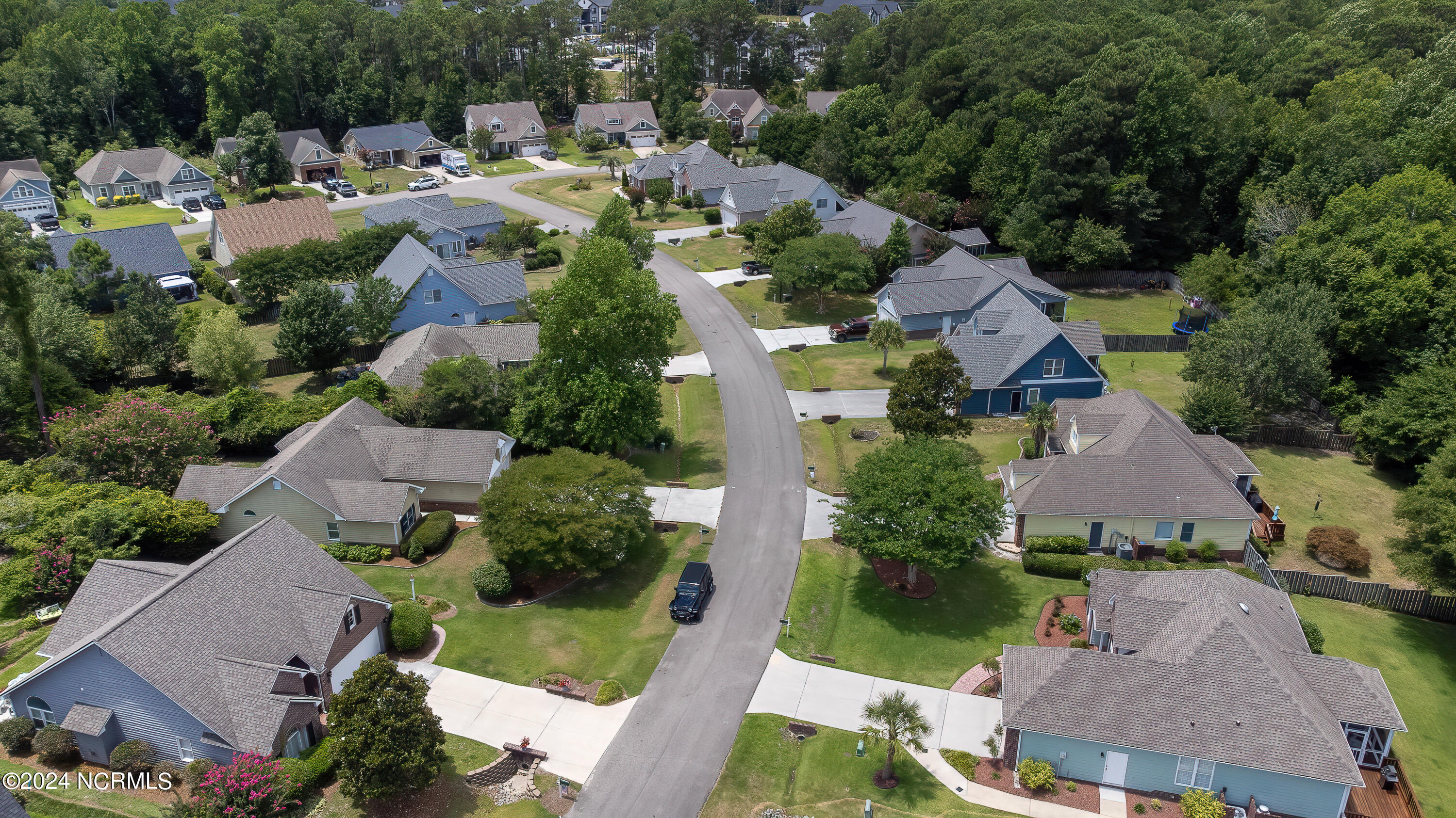 1122 Mill Run Road Sneads Ferry, NC 28460 - Photo 65 of 73 Linda (67 of 74)