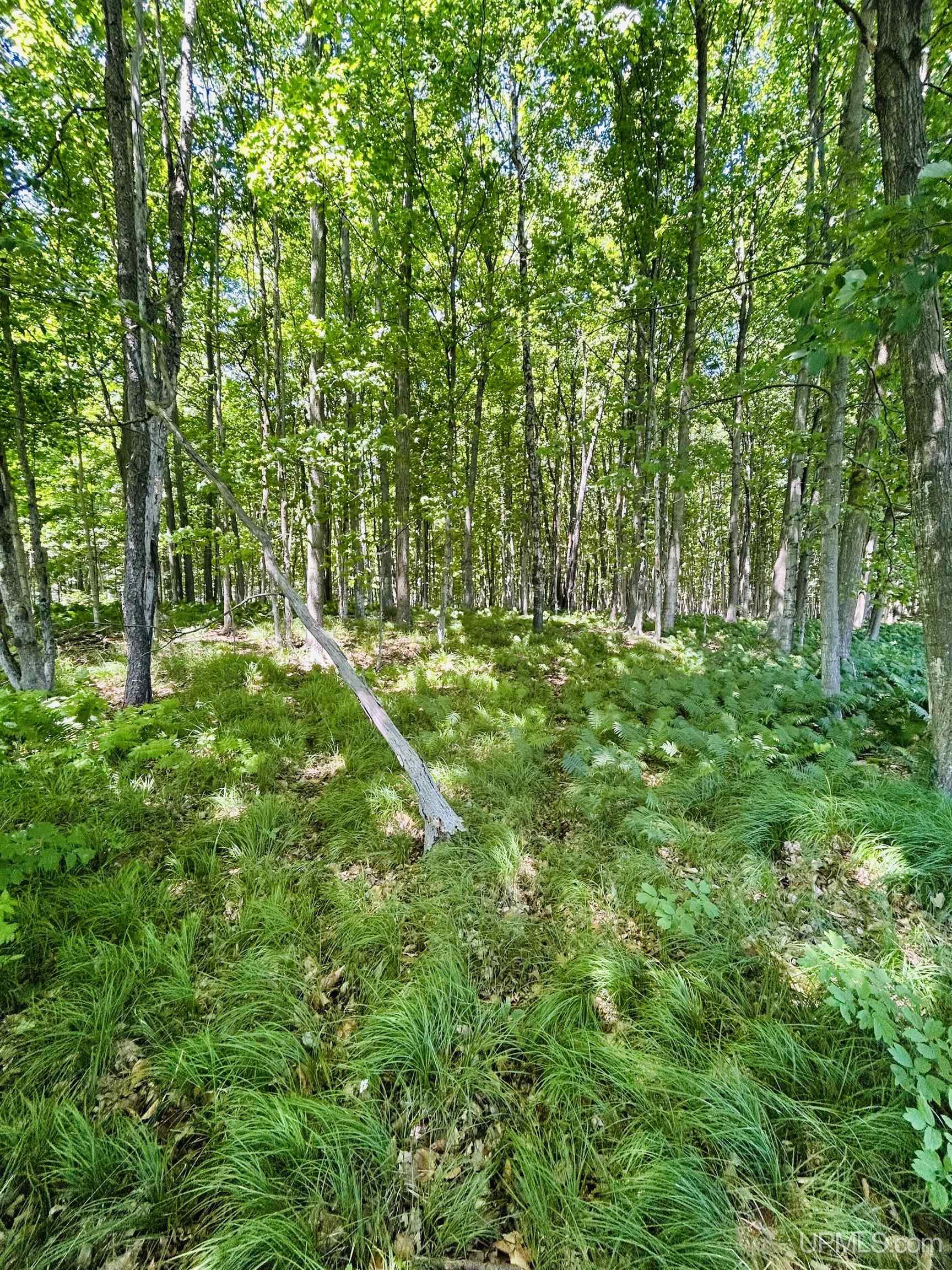 4994 Co Road Gladstone, MI 49837 - Photo 13 of 16