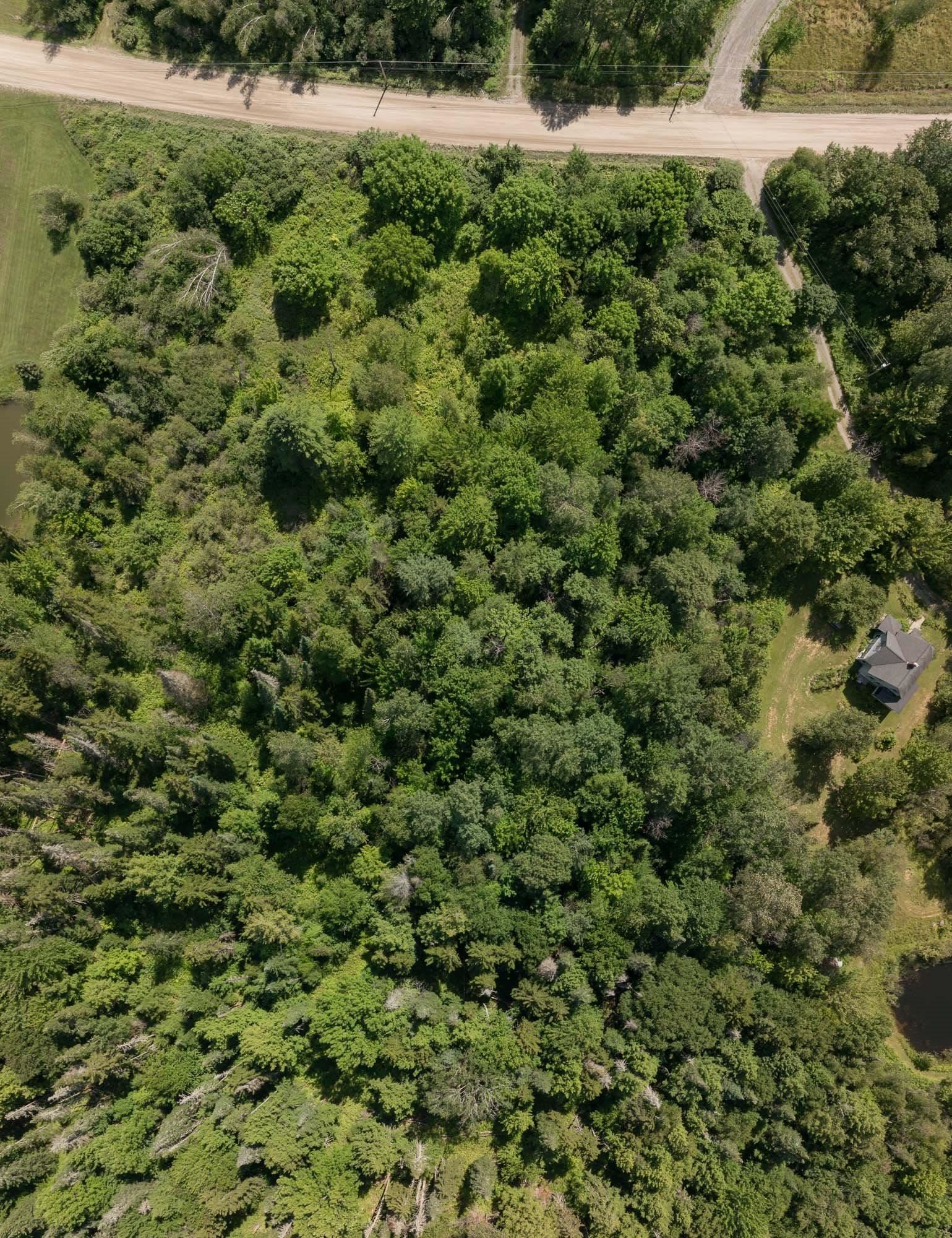 0 Elmore Pond Road Wolcott, VT 05680 - Photo 13 of 14