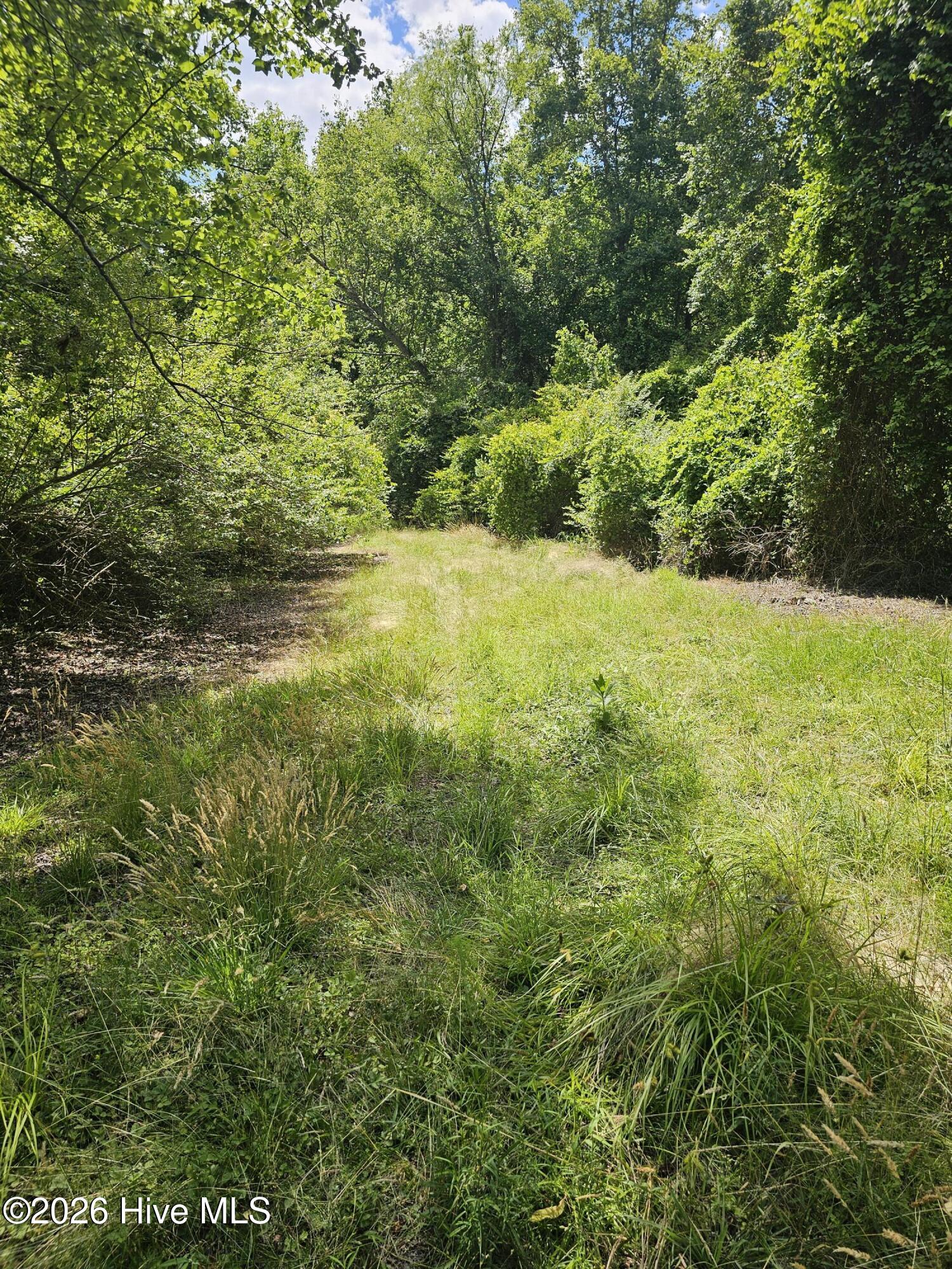 0 Madison Road Bailey, NC 27807 - Photo 5 of 8