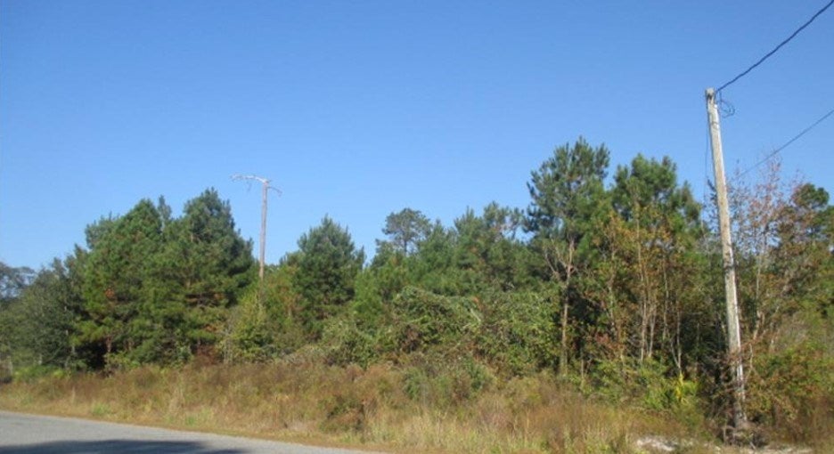 0 Meadowlark Road Valdosta, GA 31602 - Photo 7 of 7 Gallery Image 7