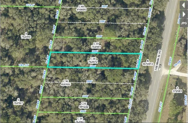 $24,000 | Treiman Boulevard, Webster, FL 33597