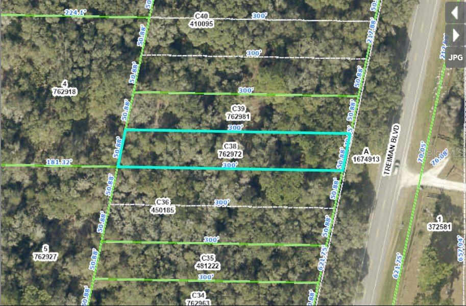 Treiman Boulevard Webster, FL 33597 - Photo 1 of 6