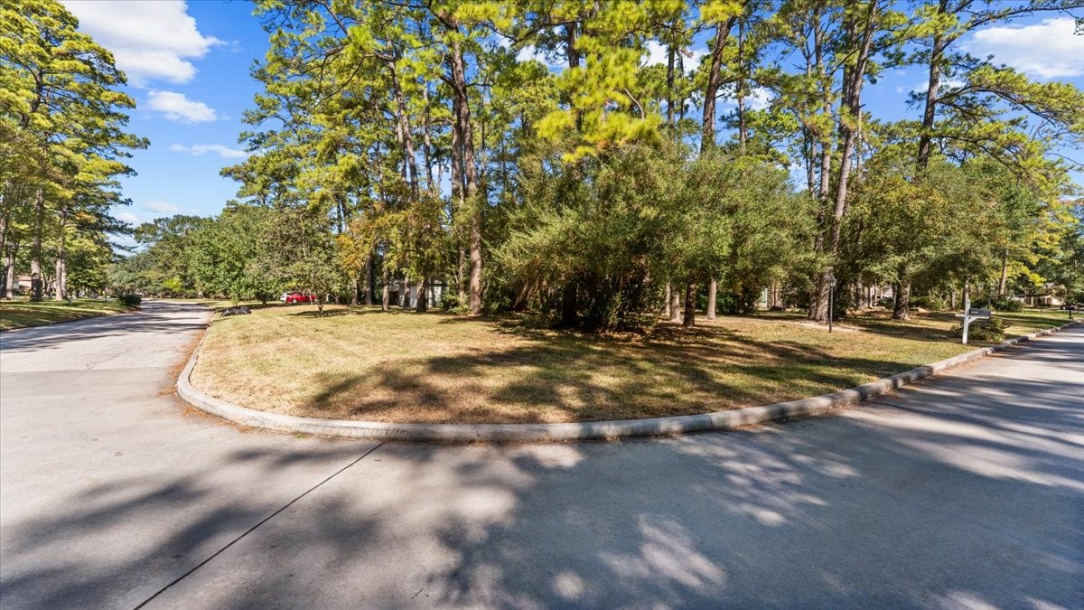 6502 Moccasin Bend Drive Spring, TX 77379 - Photo 8 of 38 a view of outdoor space