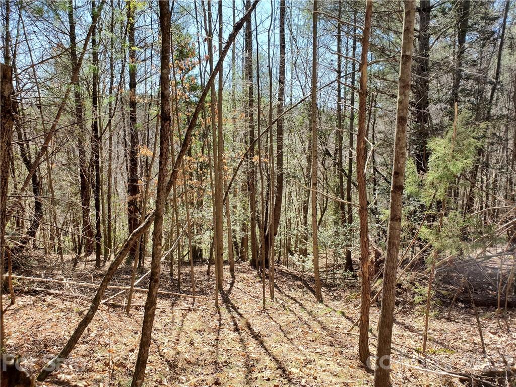 1 High Rock Road Boomer, NC 28606 - Photo 8 of 10 Gallery Image 8