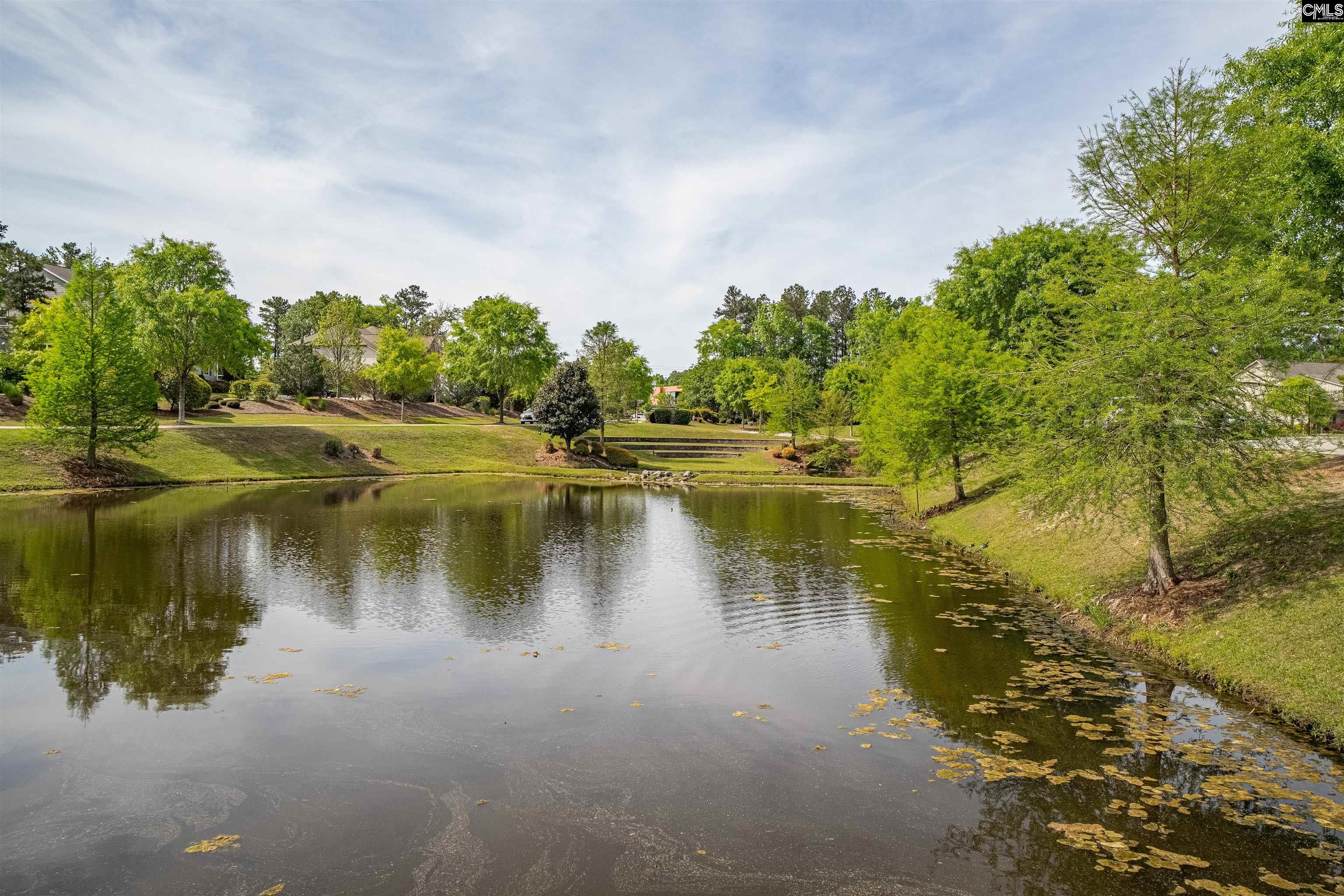155 Almofini Lane Chapin, SC 29036 - Photo 60 of 65
