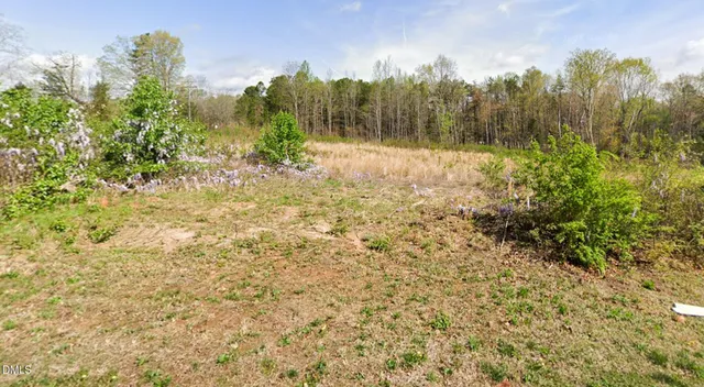 a view of a yard with a tree in the background