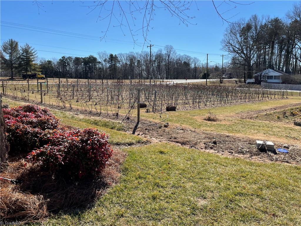 2532 Darrow Road Walkertown, NC 27051 - Photo 38 of 38 Blackberry farm as well as garden space(blackberry farm area has irrigation system).