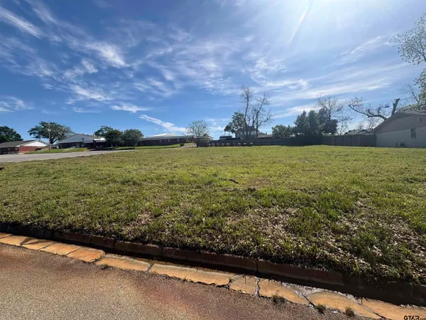 a view of a field with an ocean