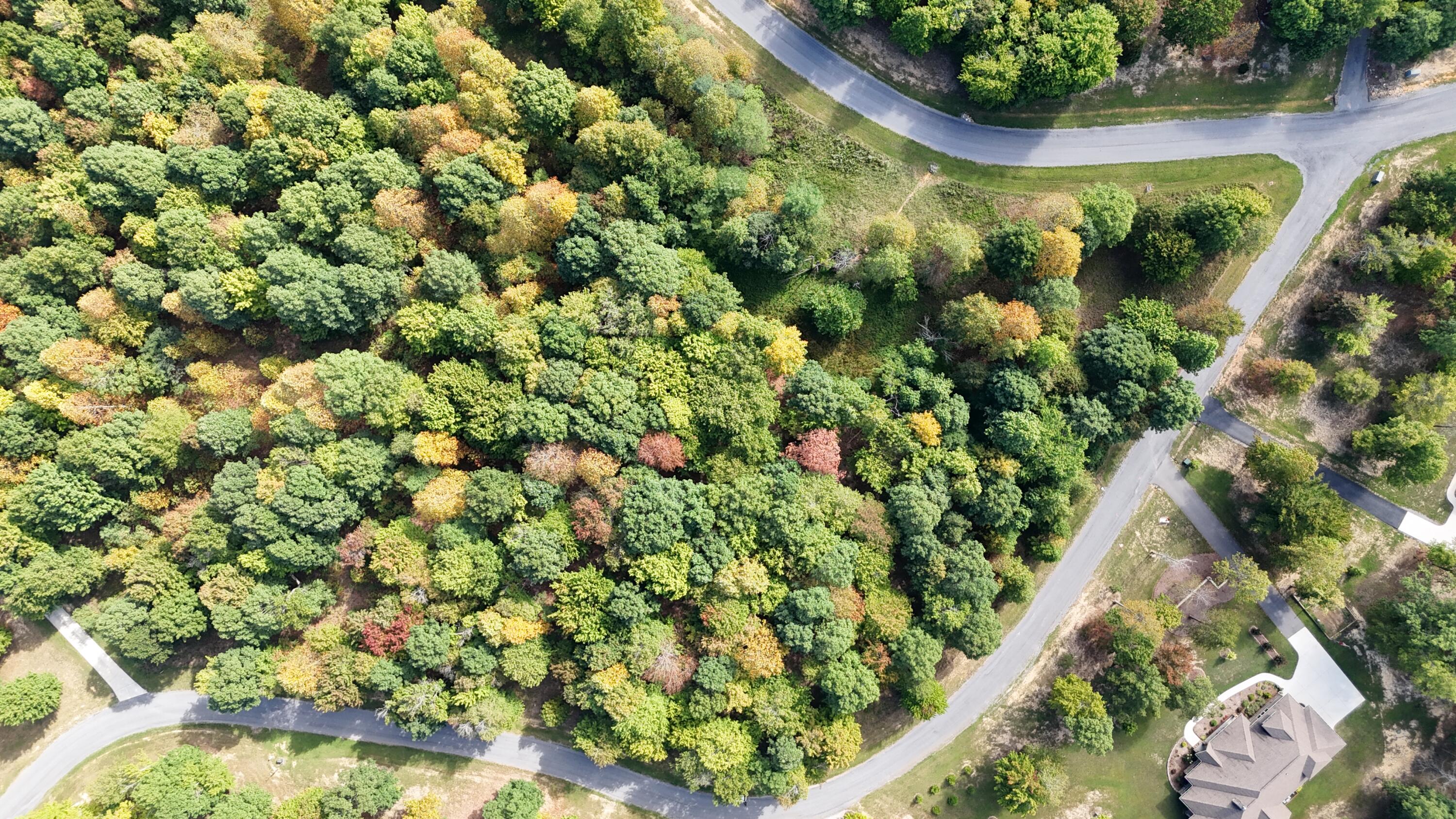 0 Roaring Creek Road, Unit 297 Dunlap, TN 37327 - Photo 1 of 23 DJI_20240905110324_0211_D