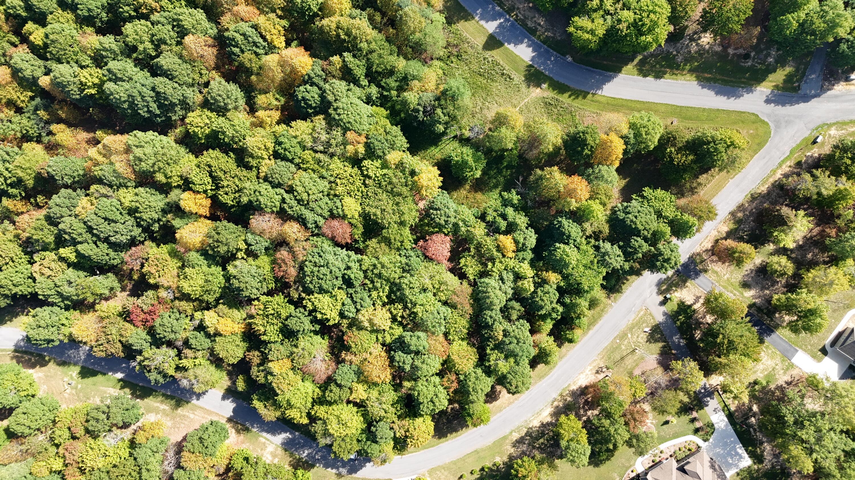 0 Roaring Creek Road, Unit 297 Dunlap, TN 37327 - Photo 21 of 23 DJI_20240905110842_0225_D