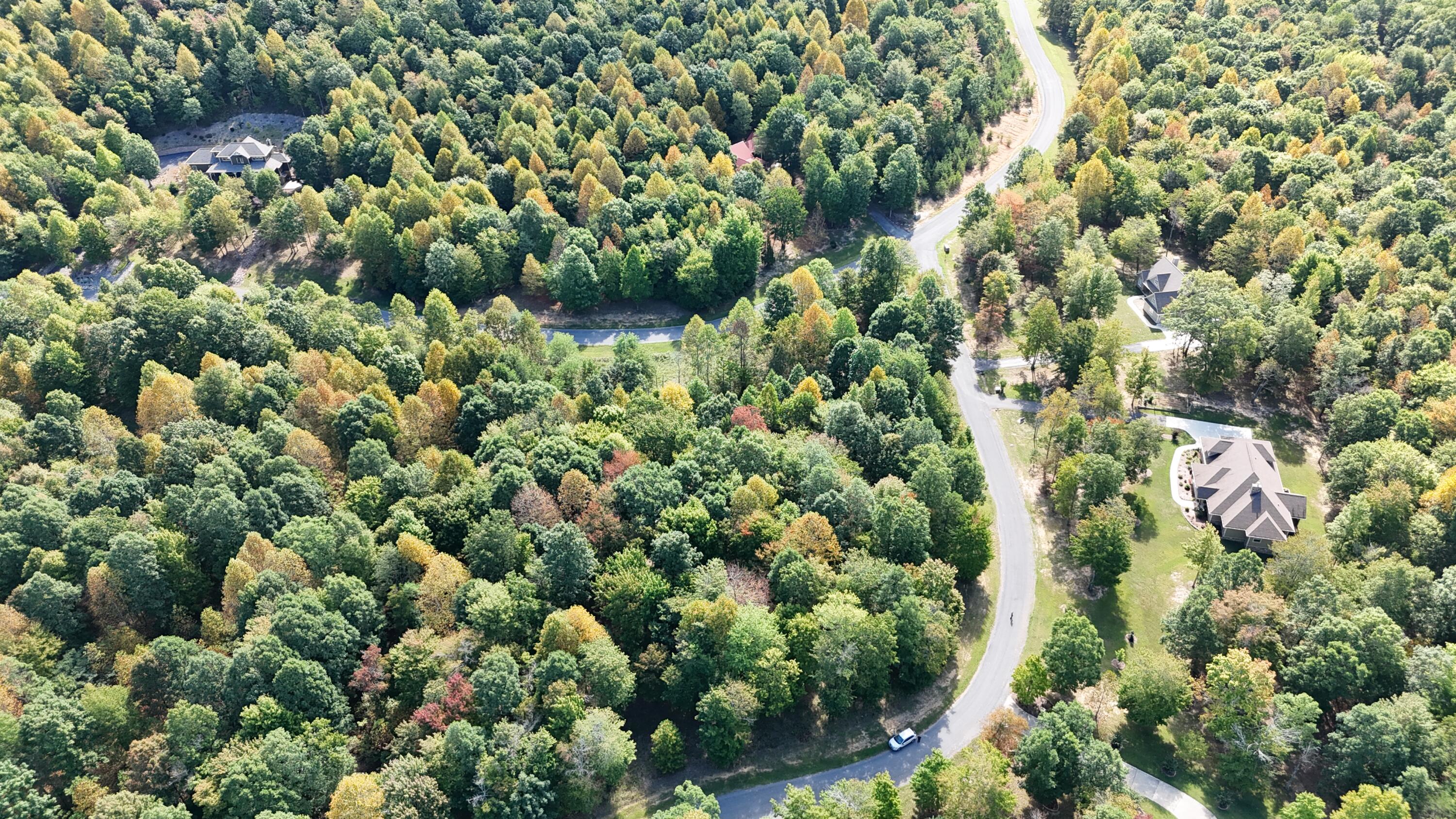 0 Roaring Creek Road, Unit 297 Dunlap, TN 37327 - Photo 4 of 23 DJI_20240905110730_0223_D