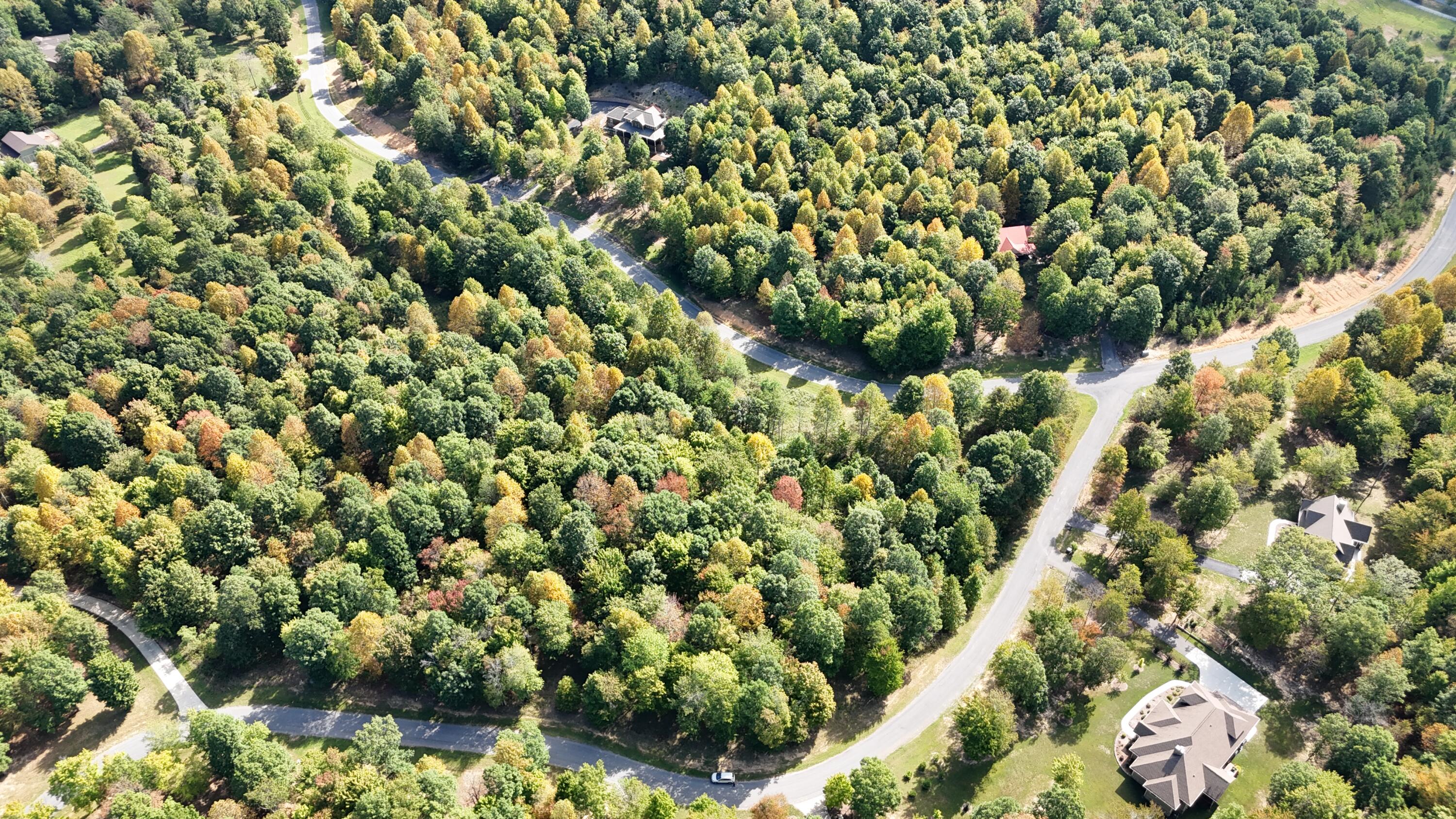 0 Roaring Creek Road, Unit 297 Dunlap, TN 37327 - Photo 5 of 23 DJI_20240905110347_0212_D