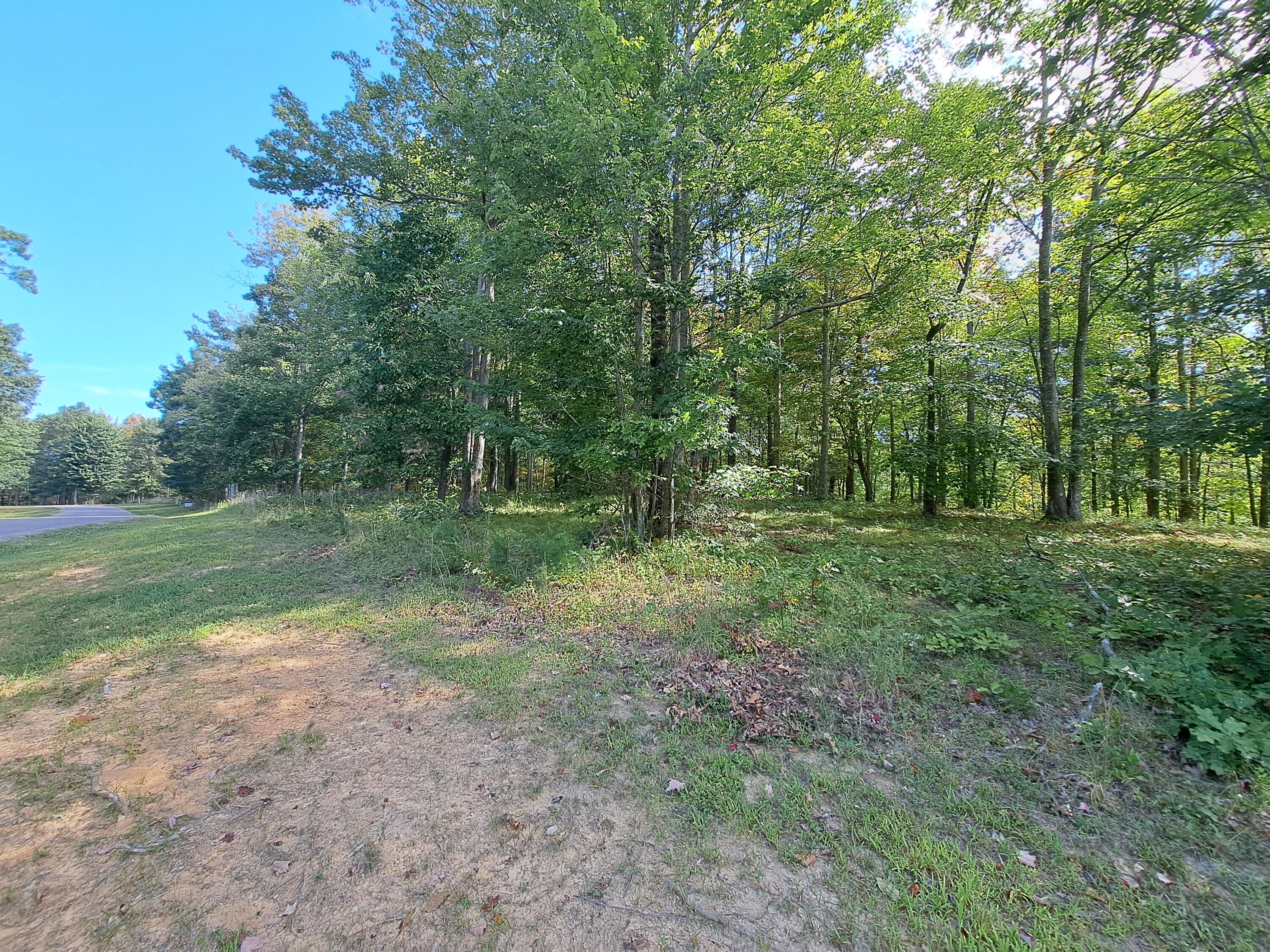 0 Roaring Creek Road, Unit 297 Dunlap, TN 37327 - Photo 7 of 23 20240905_095848