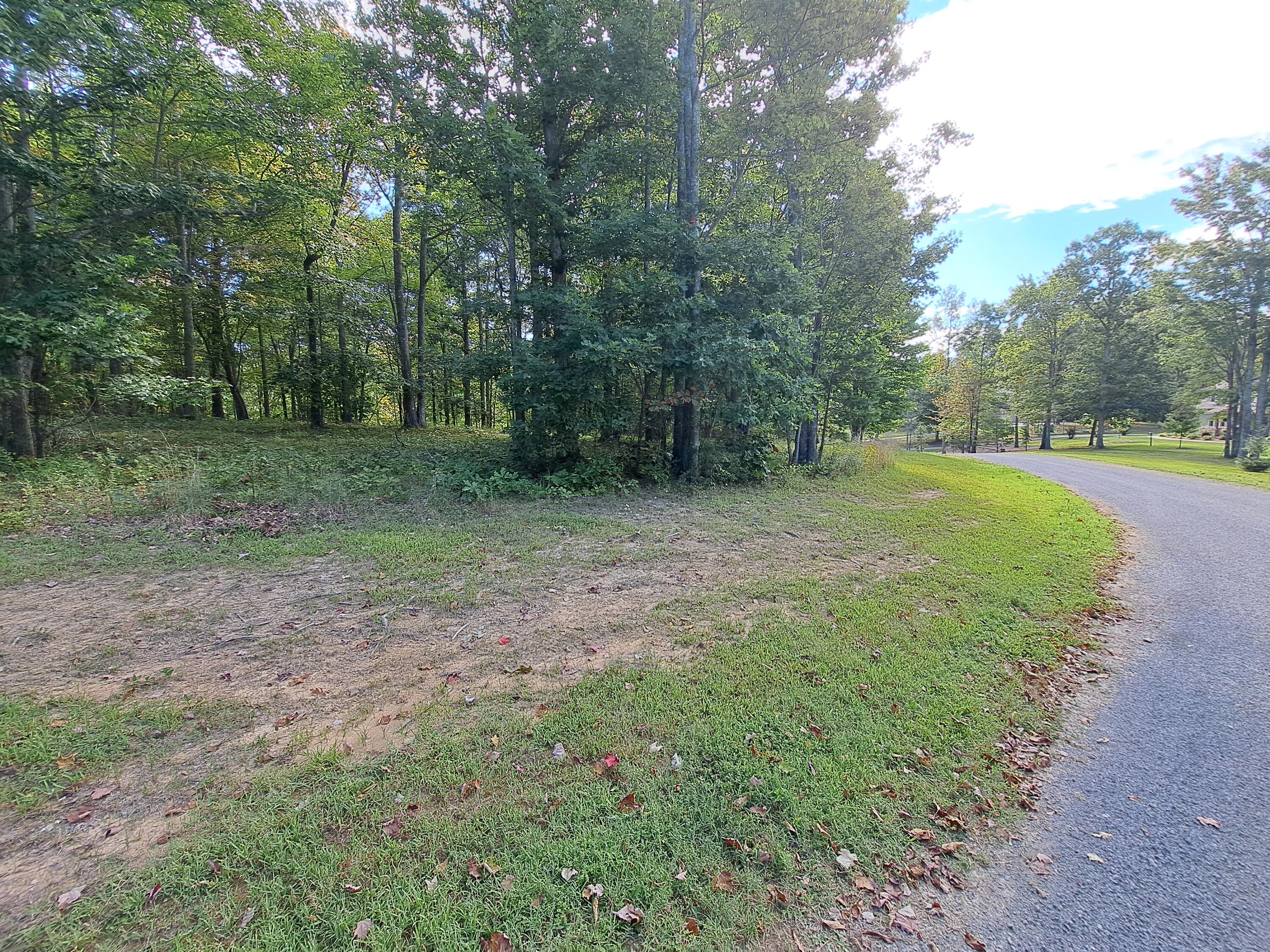 0 Roaring Creek Road, Unit 297 Dunlap, TN 37327 - Photo 8 of 23 20240905_095837