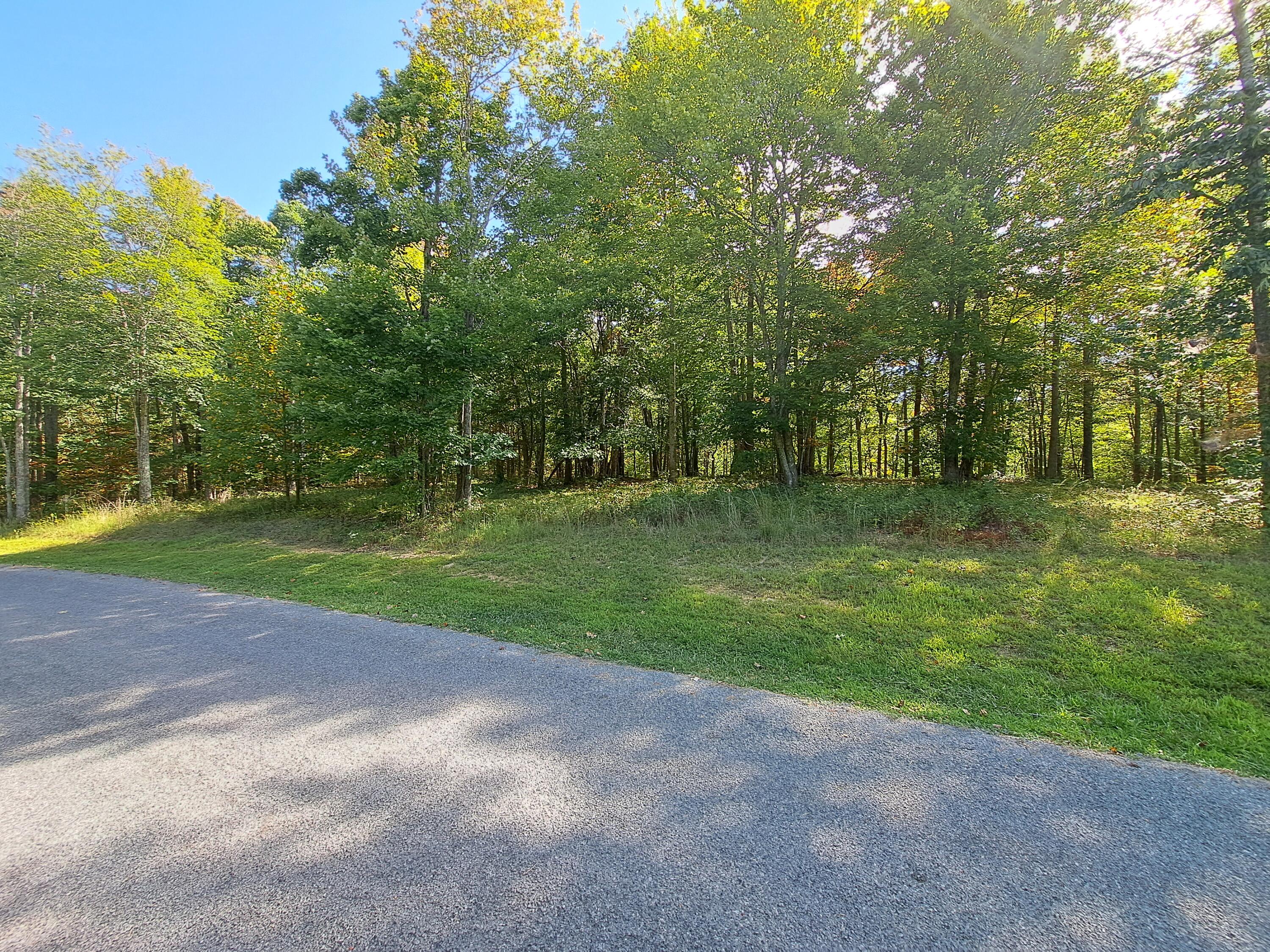 0 Roaring Creek Road, Unit 297 Dunlap, TN 37327 - Photo 9 of 23 20240905_100734