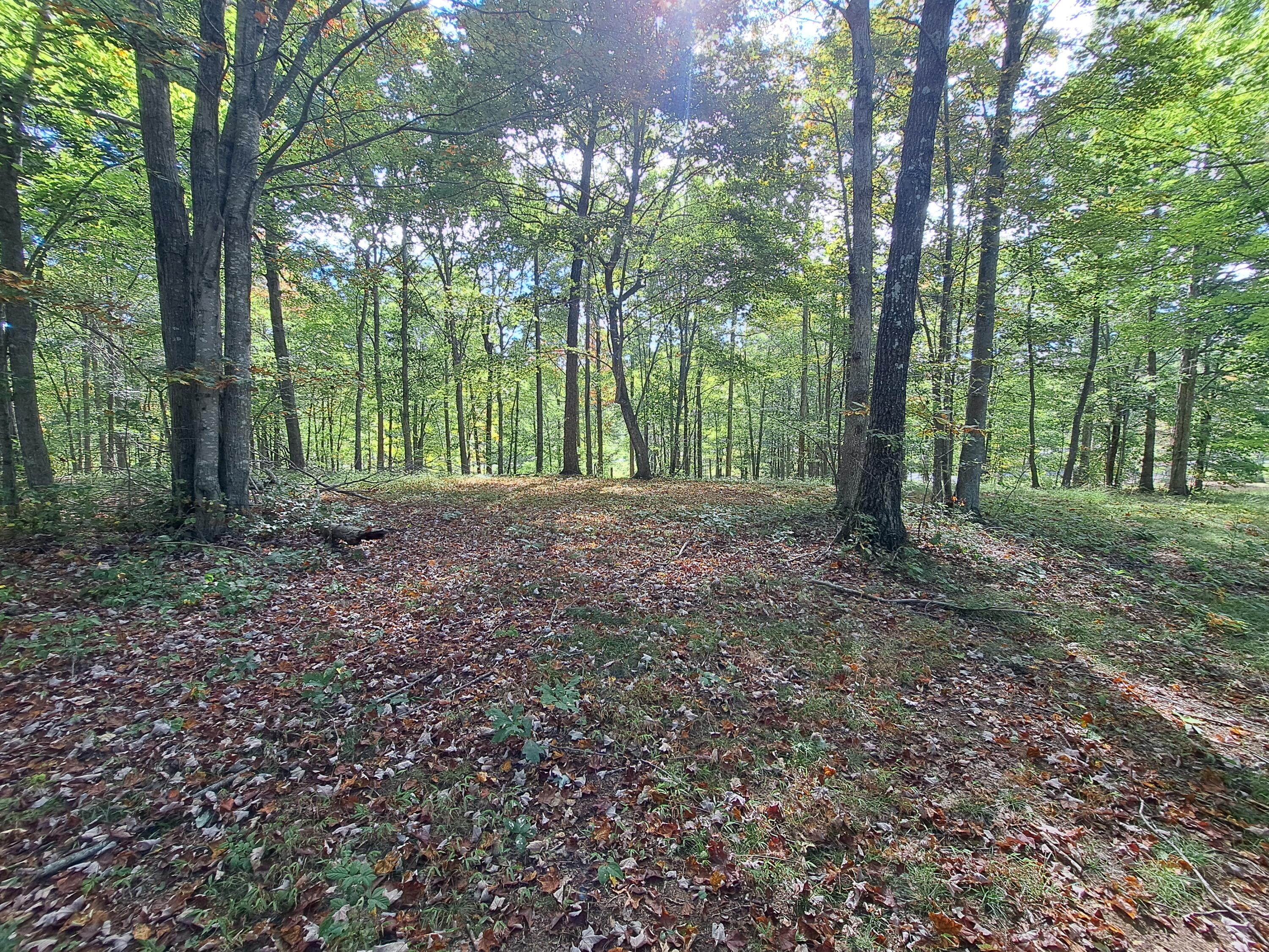 0 Roaring Creek Road, Unit 297 Dunlap, TN 37327 - Photo 10 of 23 20240905_100402