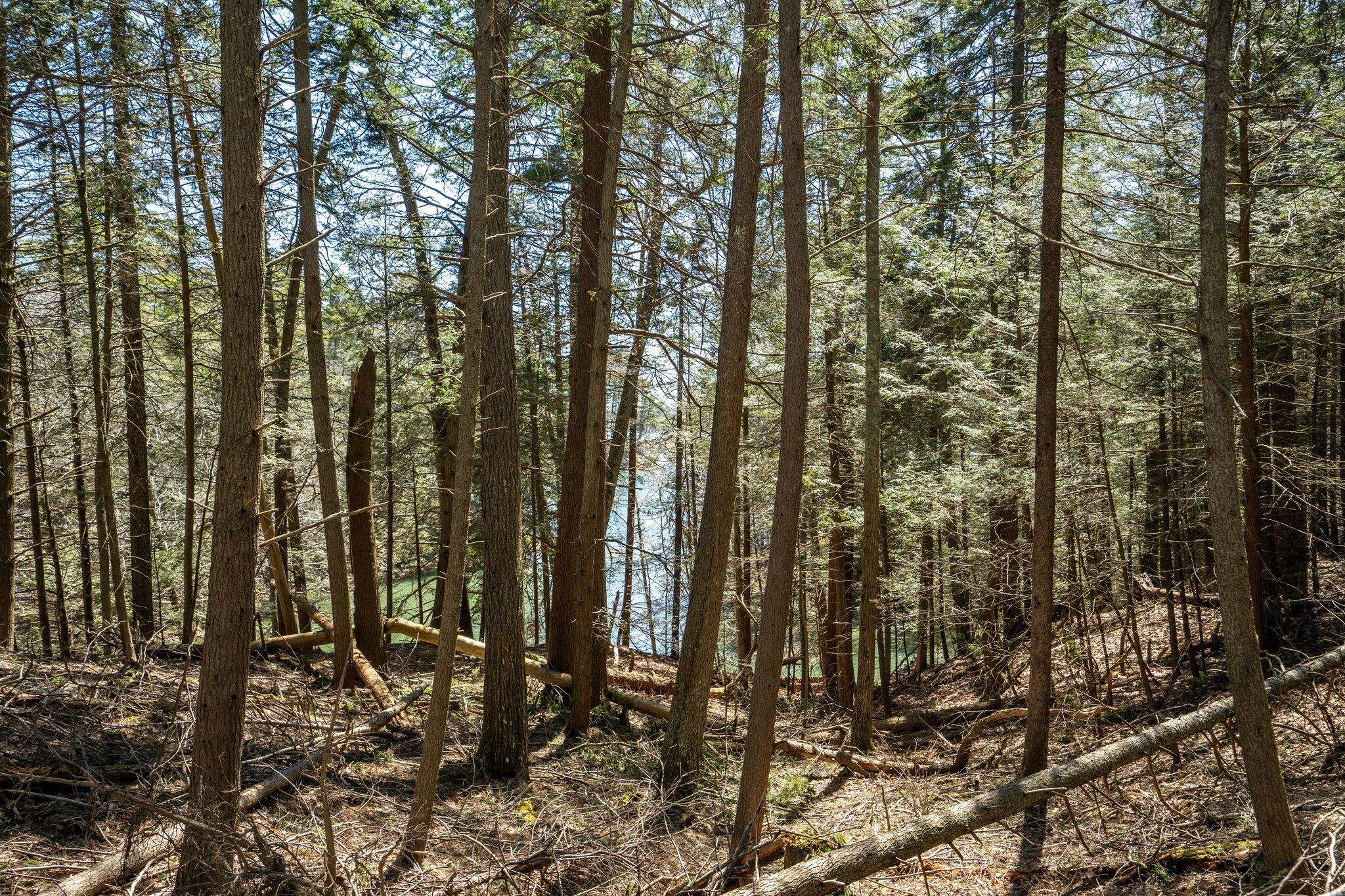 Lot 1 South Freeport Road Freeport, ME 04032 - Photo 22 of 35 17-web-or-mls-DSC04267