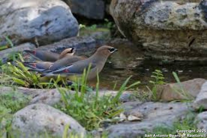 Lot 85 Headwaters Ranch Road Kendalia, TX 78027 - Photo 13 of 36