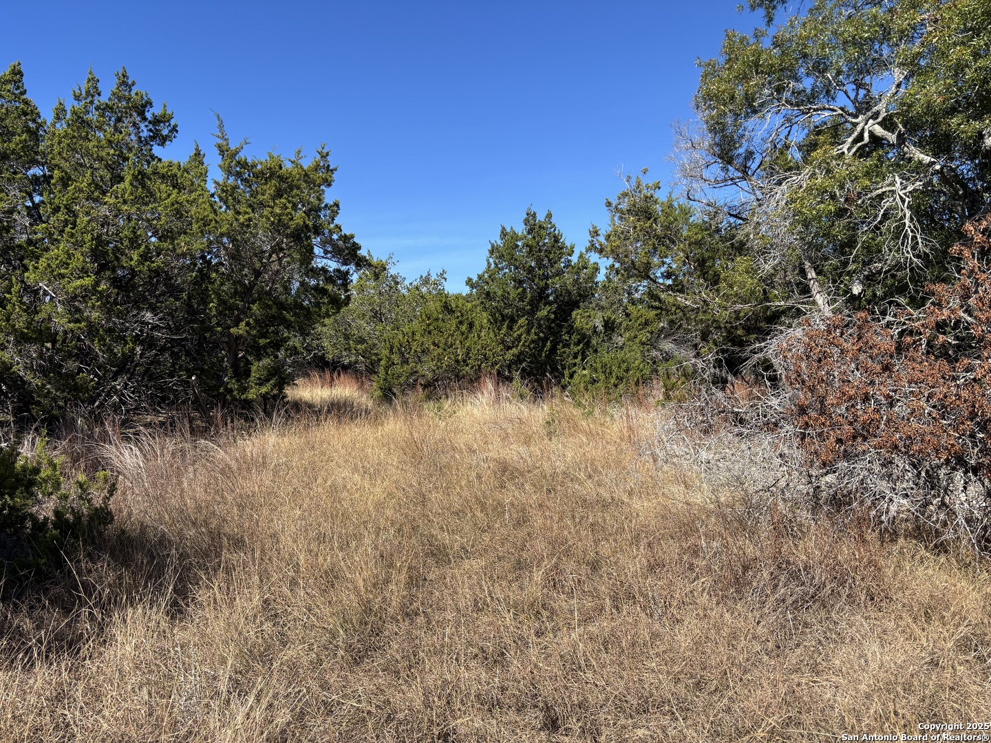 Lot 85 Headwaters Ranch Road Kendalia, TX 78027 - Photo 16 of 36 a view of a lake with a tree in the background