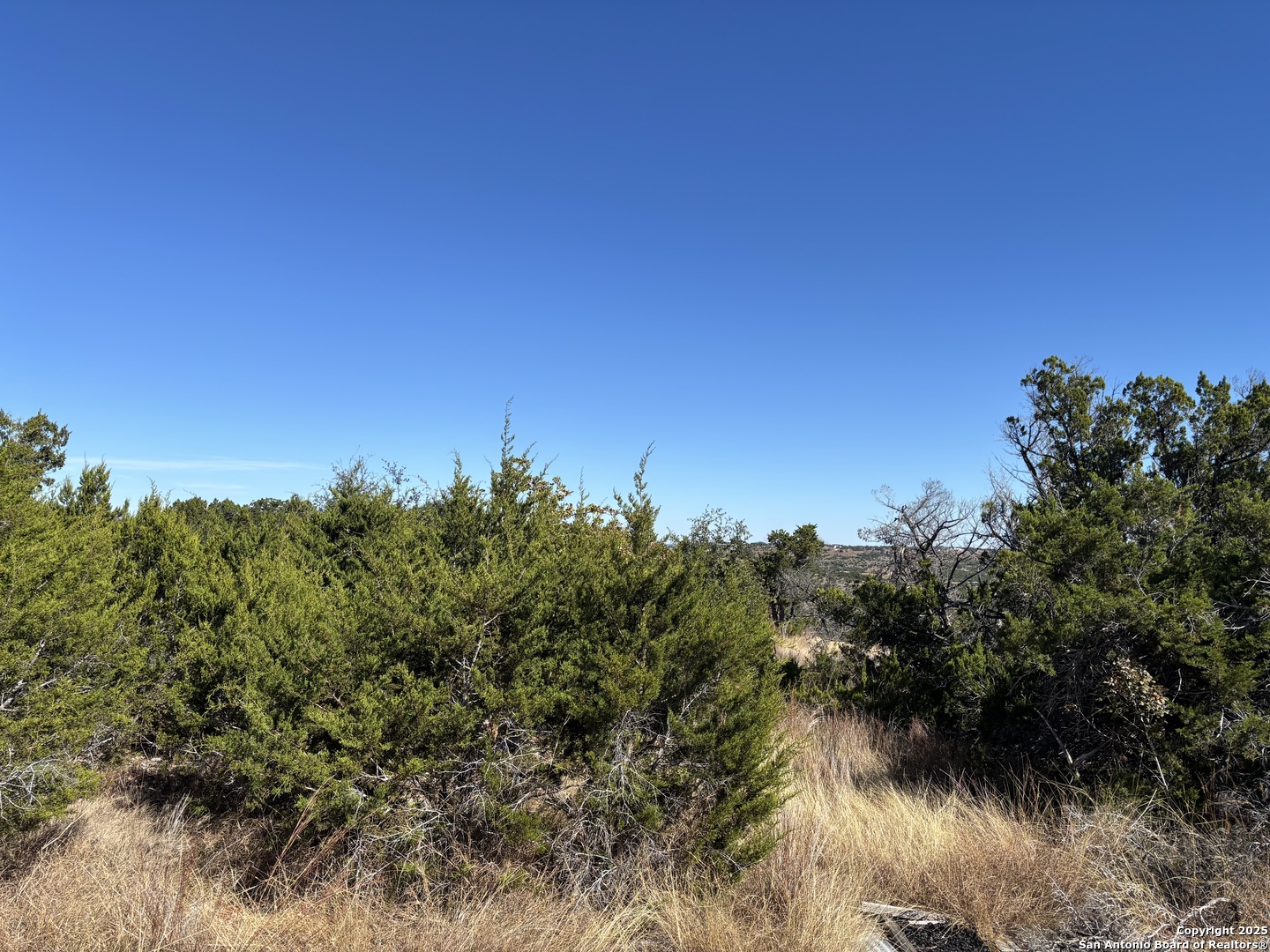 Lot 85 Headwaters Ranch Road Kendalia, TX 78027 - Photo 18 of 36 a view of a lake with a tree in a background