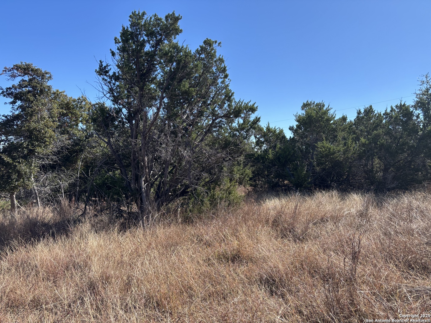 Lot 85 Headwaters Ranch Road Kendalia, TX 78027 - Photo 20 of 36 a view of a lake with a tree in the background