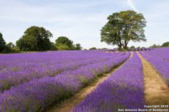 Lot 85 Headwaters Ranch Road Kendalia, TX 78027 - Photo 21 of 36 a view of outdoor space and yard