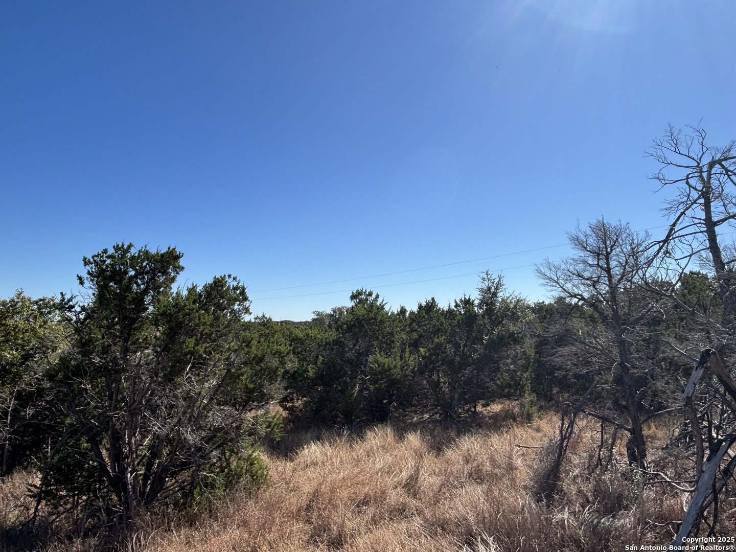 Lot 85 Headwaters Ranch Road Kendalia, TX 78027 - Photo 26 of 36 a view of a yard with a tree