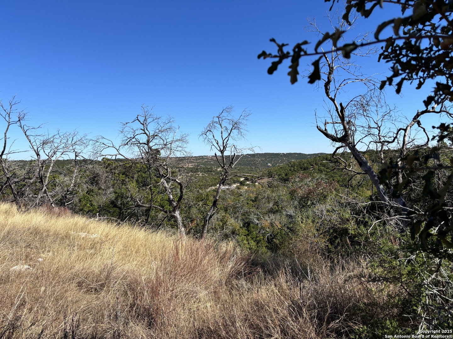 Lot 85 Headwaters Ranch Road Kendalia, TX 78027 - Photo 33 of 36 a view of a lake in between the two and trees