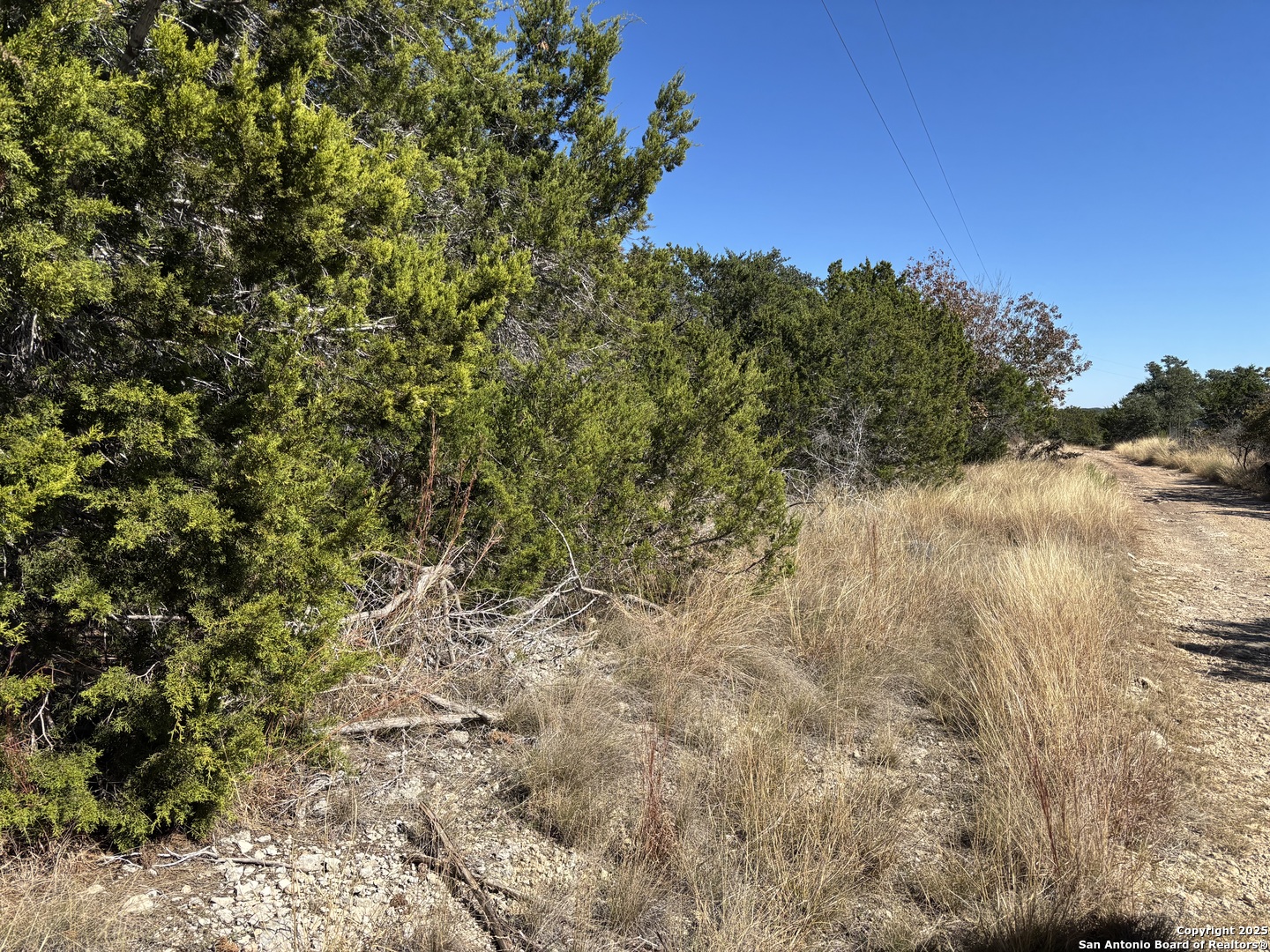 Lot 85 Headwaters Ranch Road Kendalia, TX 78027 - Photo 10 of 36 a view of a lake with a tree