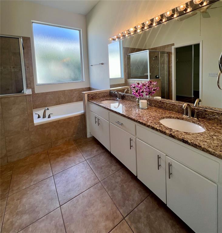 3515 Fox Squirrel Lane Valrico, FL 33596 - Photo 15 of 24 a bathroom with a granite countertop sink and a mirror