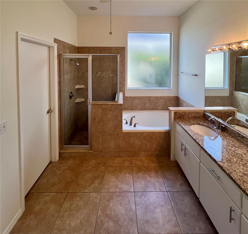 3515 Fox Squirrel Lane Valrico, FL 33596 - Photo 16 of 24 a large bathroom with a granite countertop tub sink and mirror