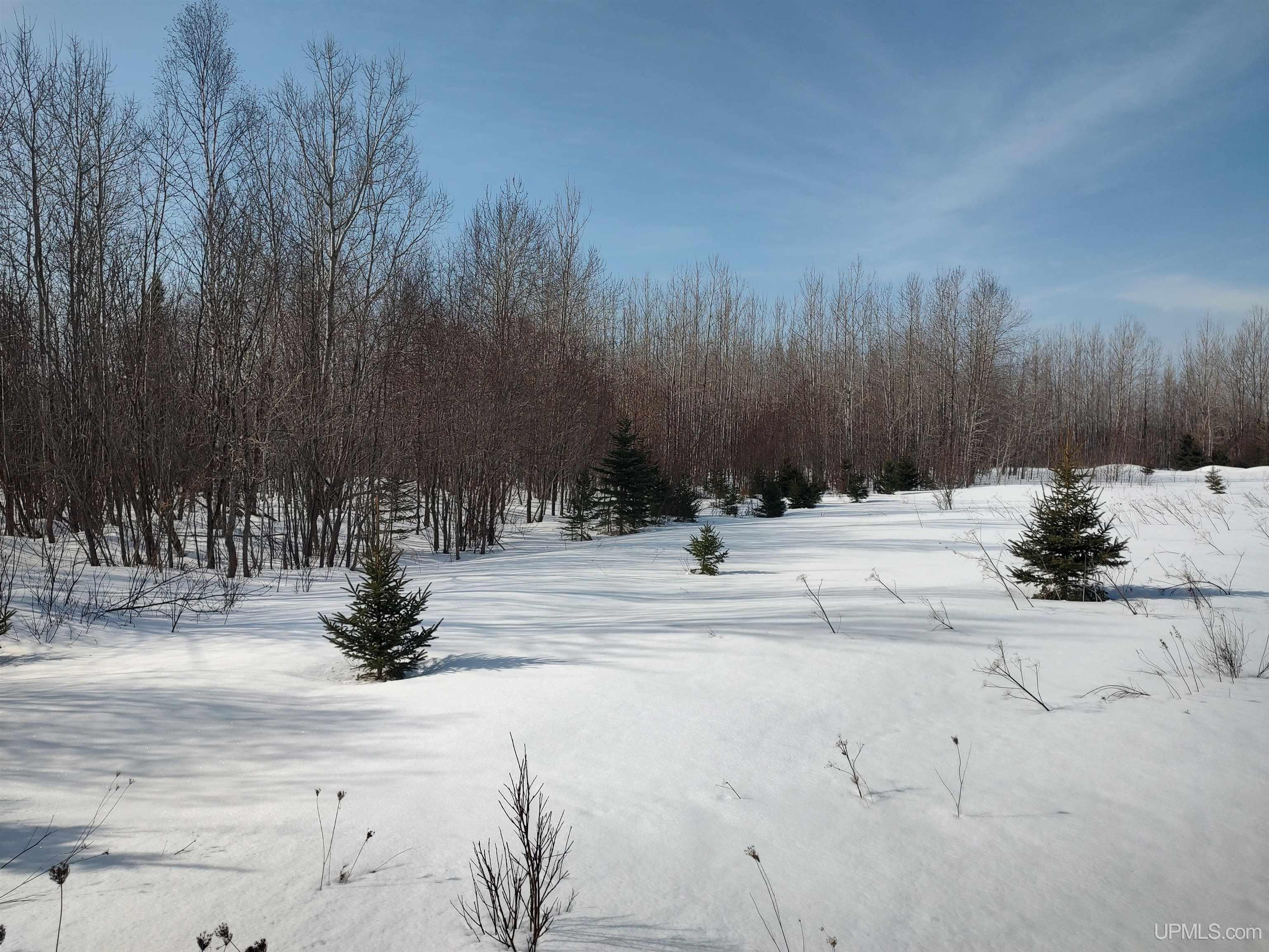 30-acres Parkington Road Gulliver, MI 49840 - Photo 16 of 31