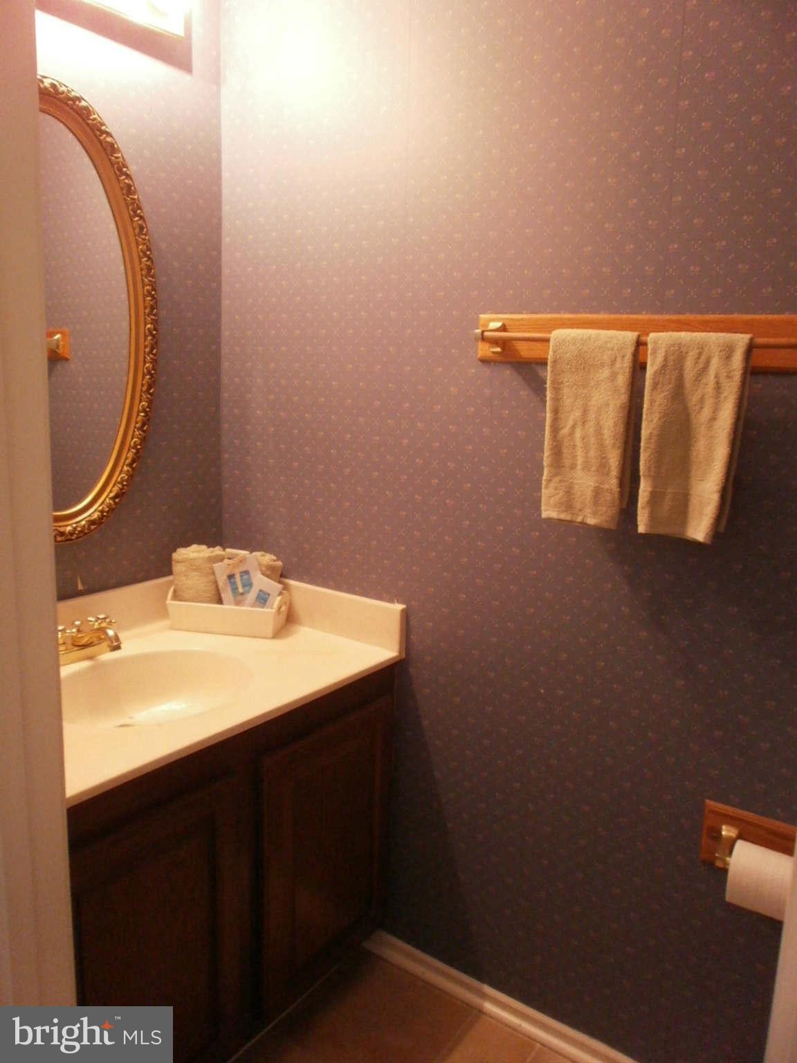 10520 Reed's Landing Circle Burke, VA 22015 - Photo 10 of 30 Powder Room on Main adds convenience!