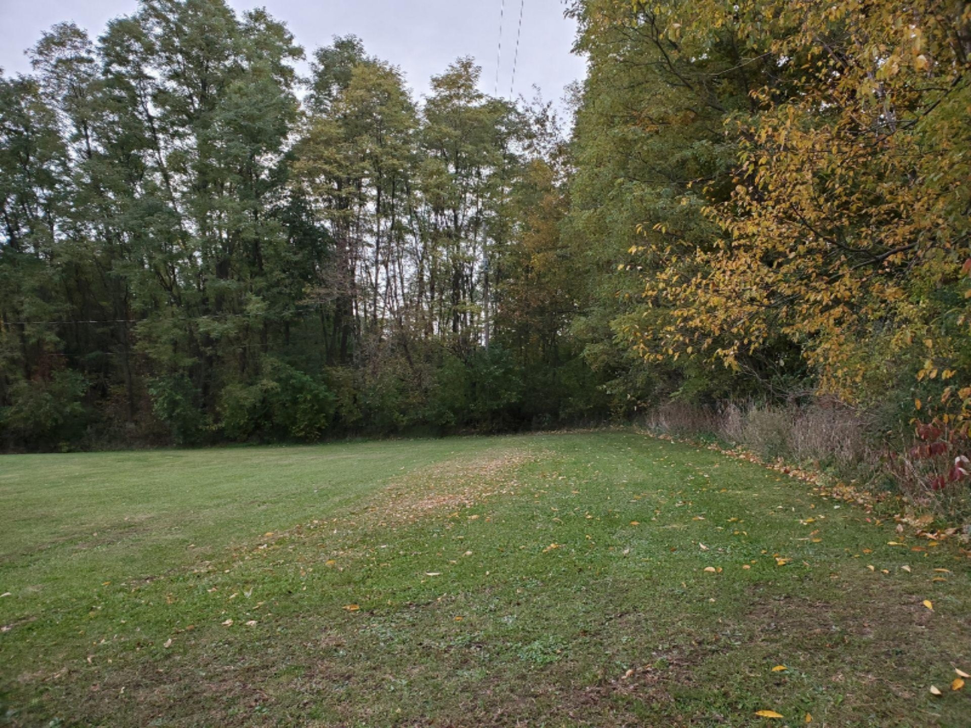 938 Lutes Road Coldwater, MI 49036 - Photo 24 of 30 IMG-1687
