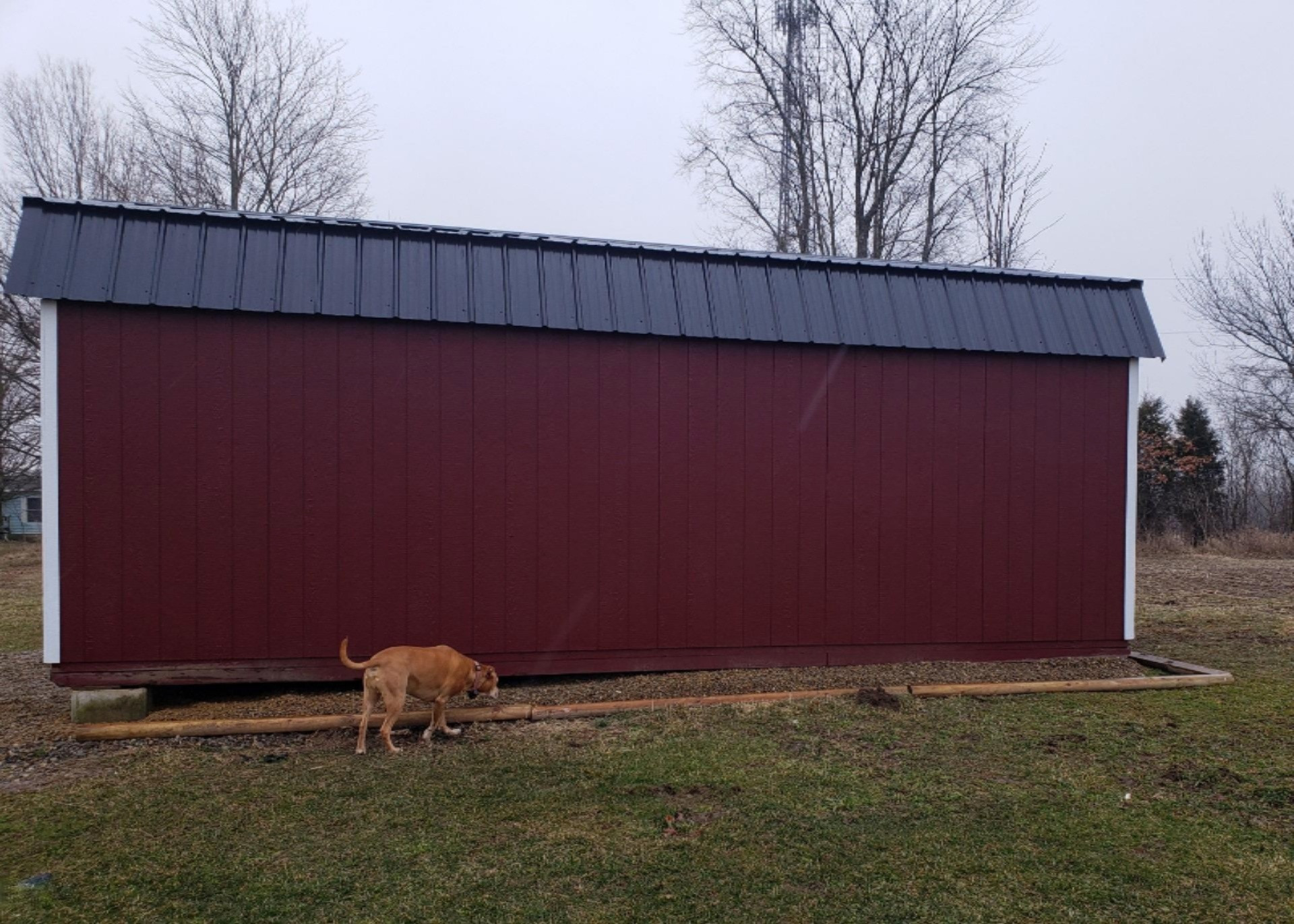 938 Lutes Road Coldwater, MI 49036 - Photo 28 of 30 IMG-1702
