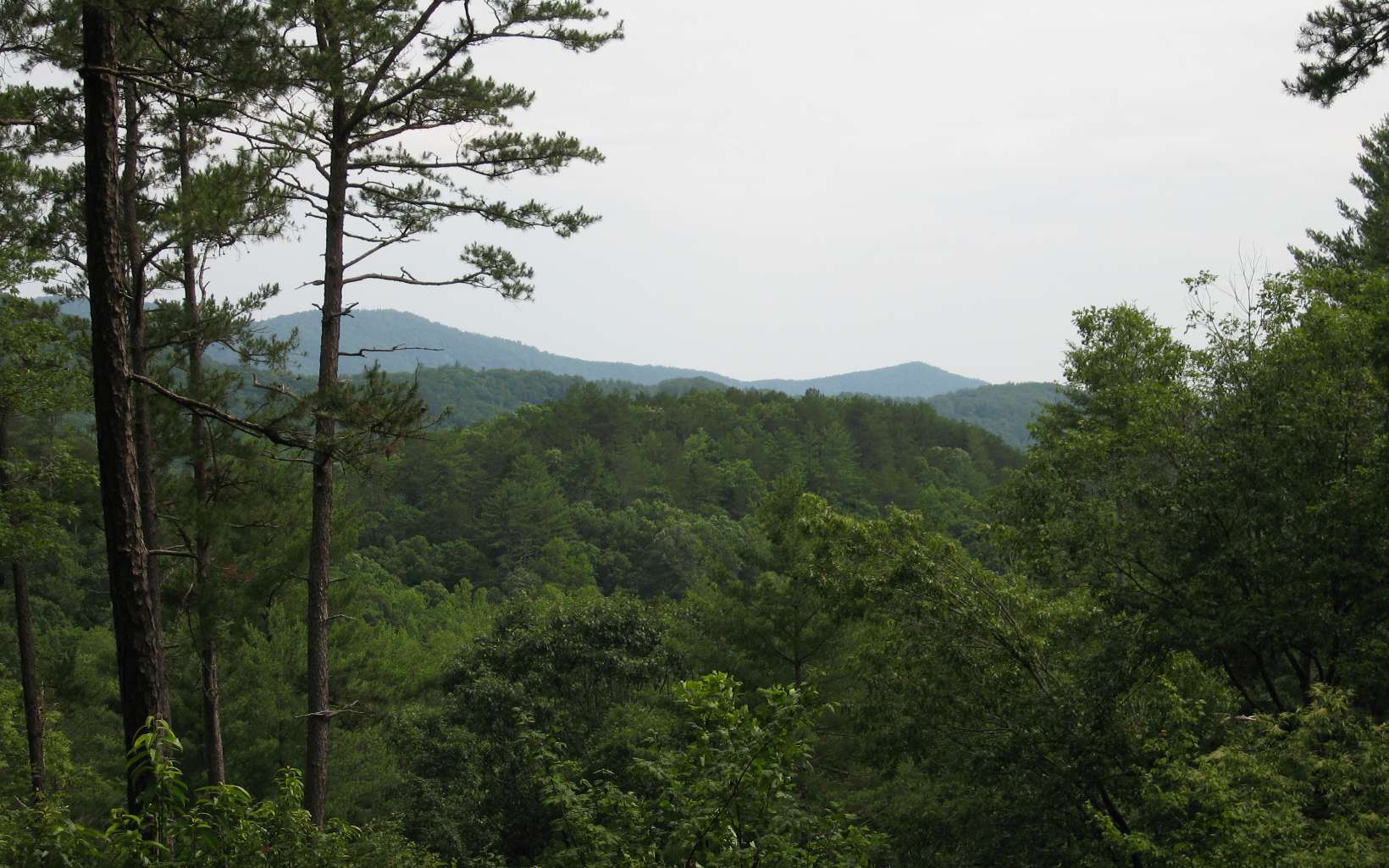 Lt332 Lt332 Conley Branch Road Blue Ridge, GA 30513 - Photo 1 of 4 Main View