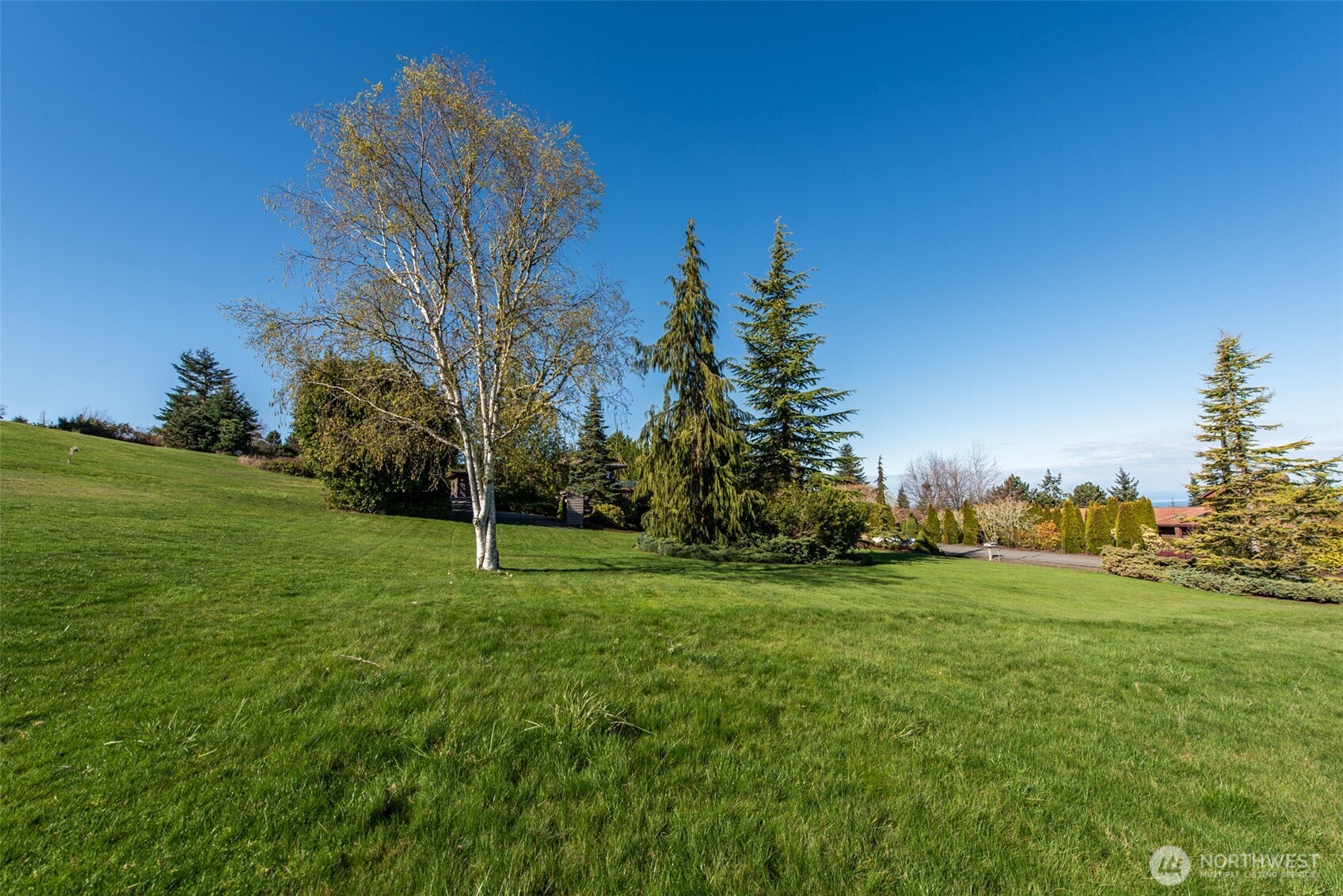 9999 Fawn Lane Sequim, WA 98382 - Photo 19 of 28 a view of a field with trees in the background
