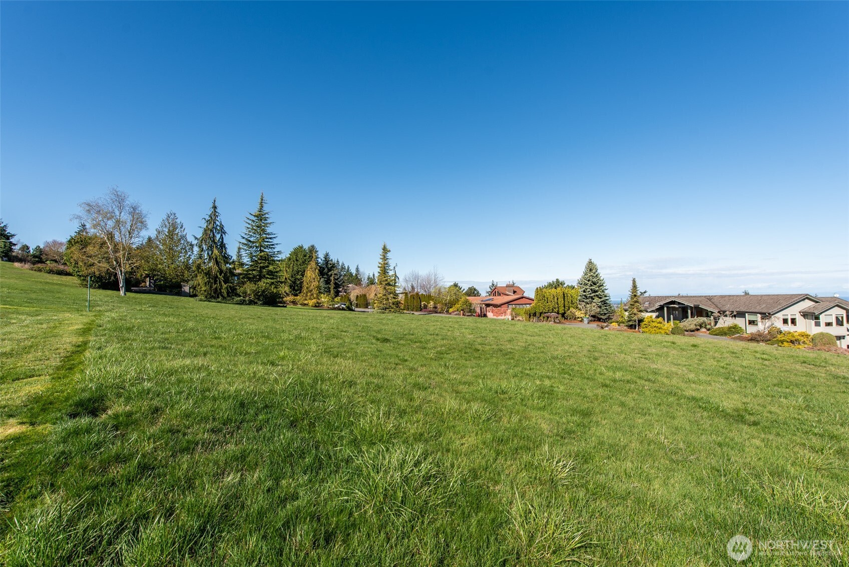 9999 Fawn Lane Sequim, WA 98382 - Photo 21 of 28 a view of a green field with lots of bushes