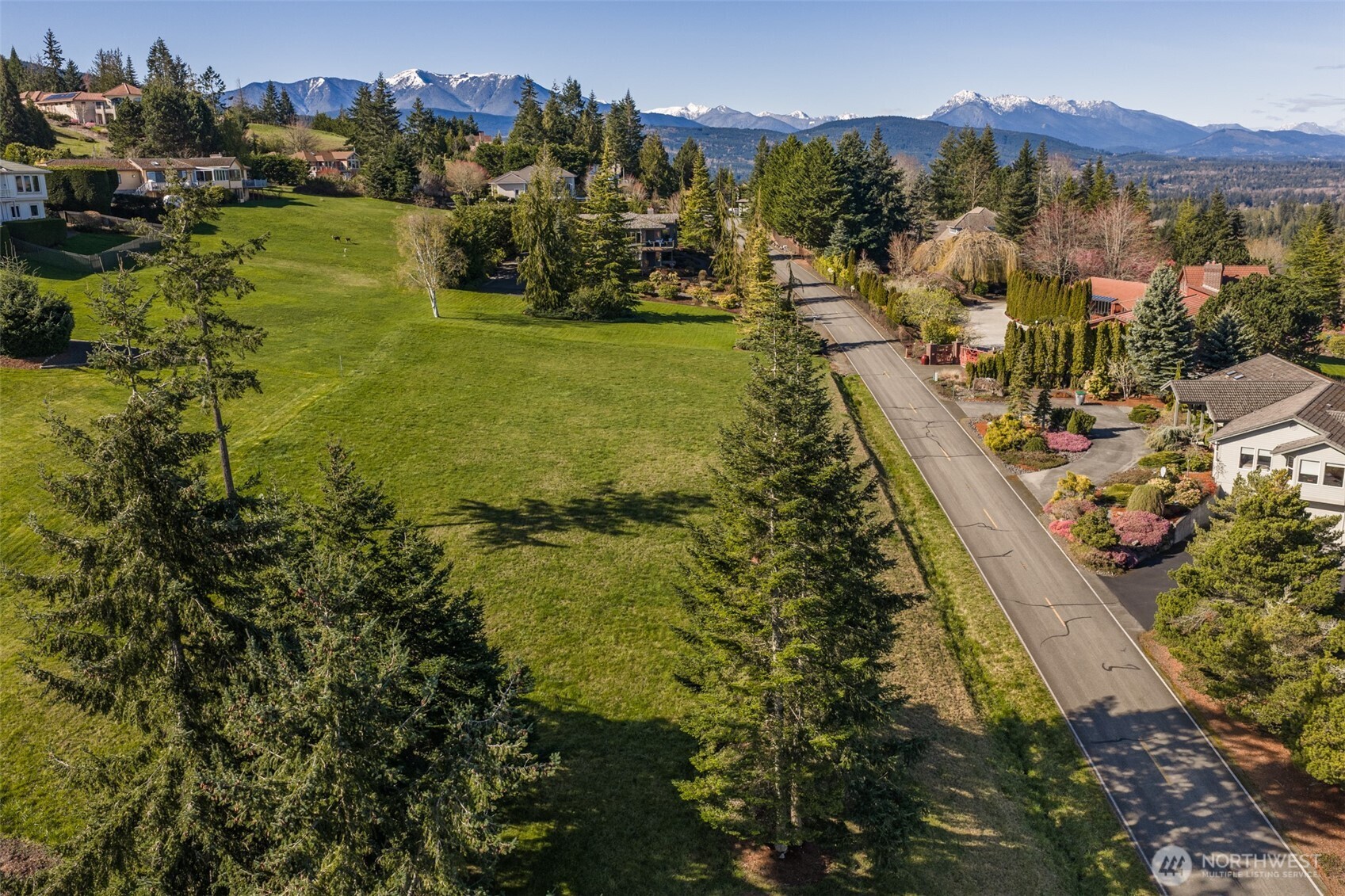 9999 Fawn Lane Sequim, WA 98382 - Photo 9 of 28 a view of a town with mountains in the background