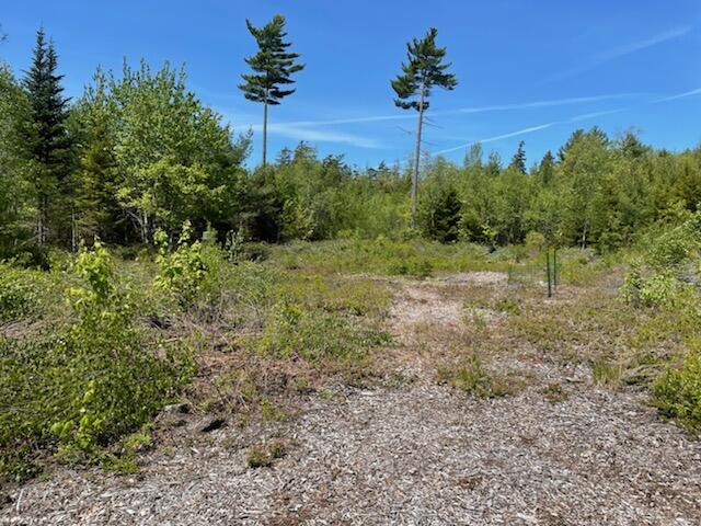 0 High Street Brooklin, ME 04616 - Photo 2 of 8 Potential Building Site
