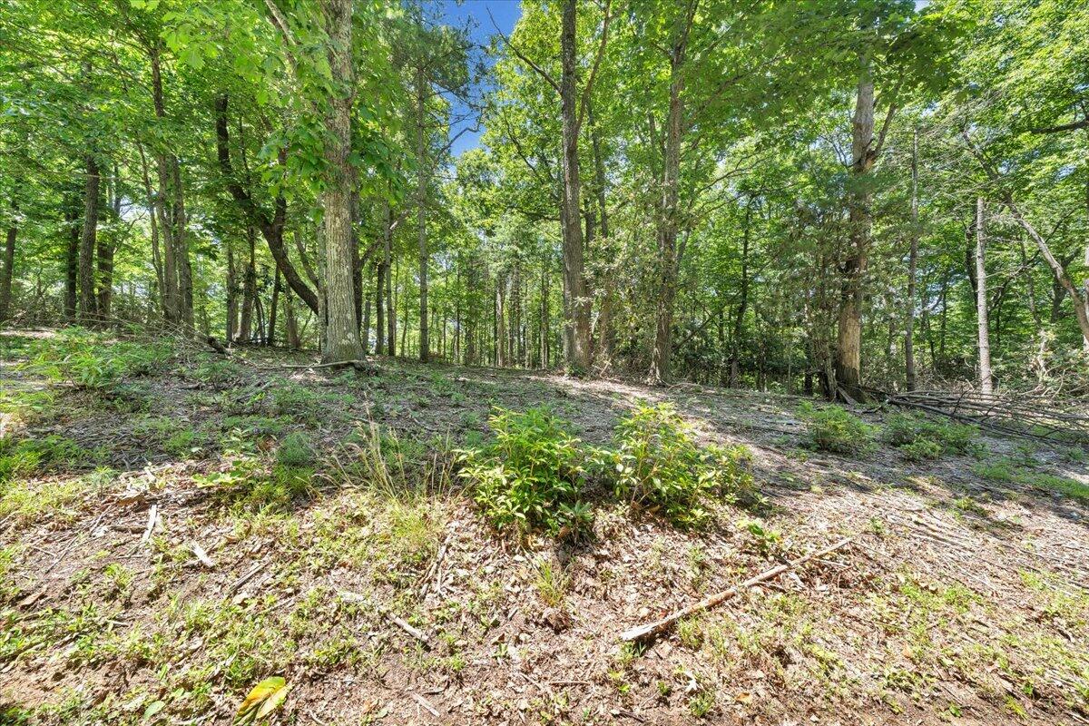 Tbd Dogwood Ridge Fancy Gap, VA 24328 - Photo 8 of 24 19-MIB08735