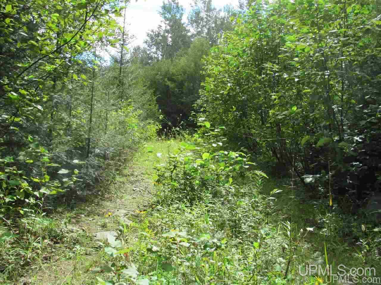 Tbd Tbd Off Us41 Lanse, MI 49946 - Photo 4 of 17