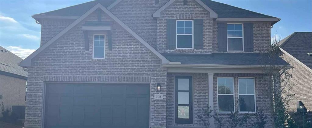 Exterior Design Construction Progress