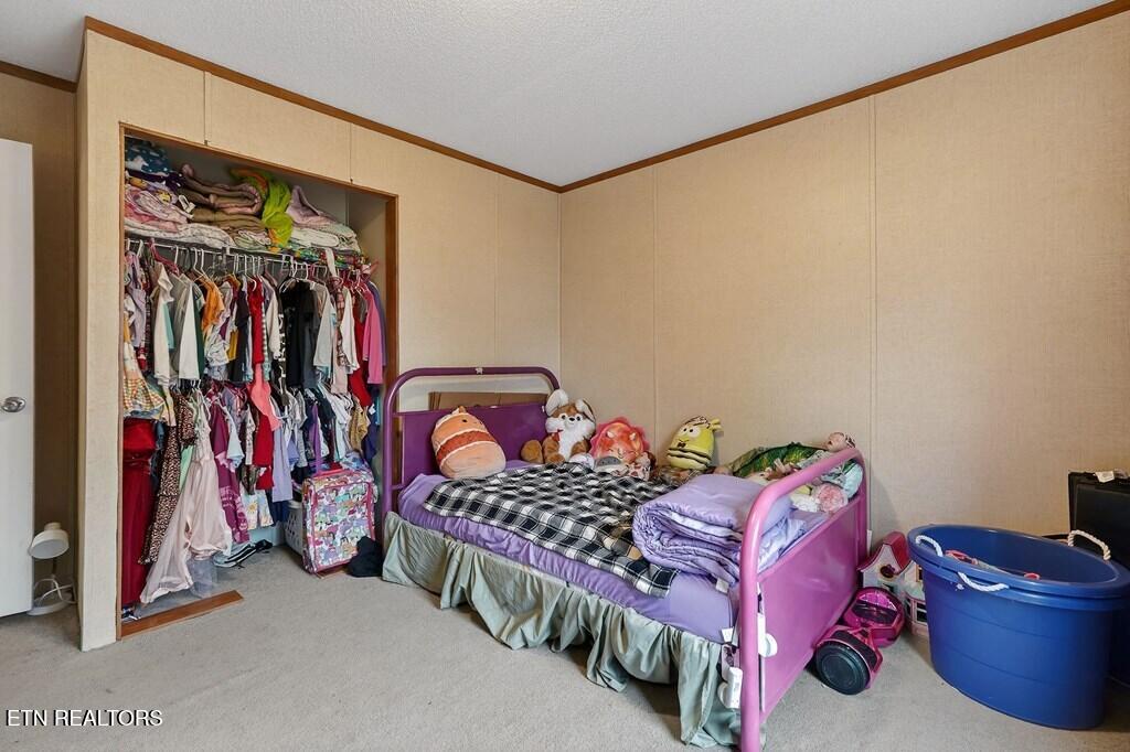 582 Doug Luna Road Walling, TN 38587 - Photo 20 of 44 242335_15