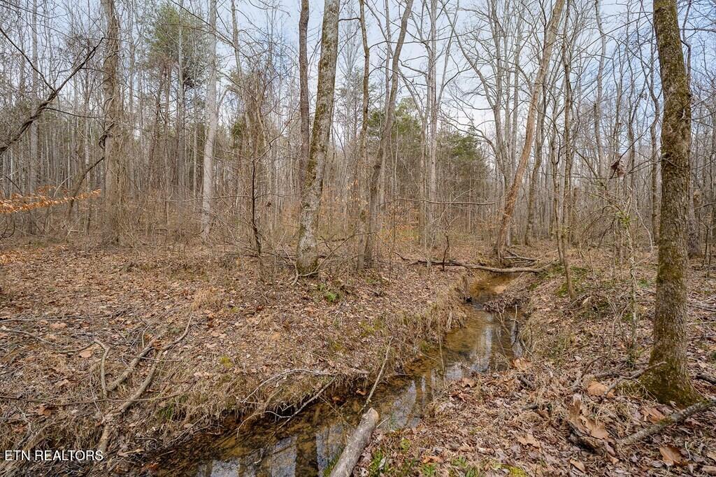 582 Doug Luna Road Walling, TN 38587 - Photo 42 of 44 242335_60