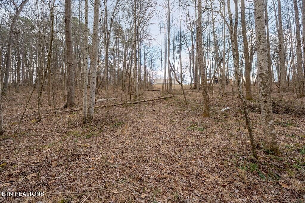 582 Doug Luna Road Walling, TN 38587 - Photo 43 of 44 242335_59