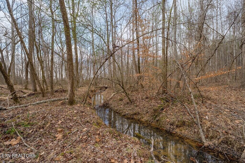 582 Doug Luna Road Walling, TN 38587 - Photo 44 of 44 242335_58